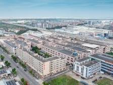 江海直冲村：冲刺全市首个“亿元村”｜江门典型村调研