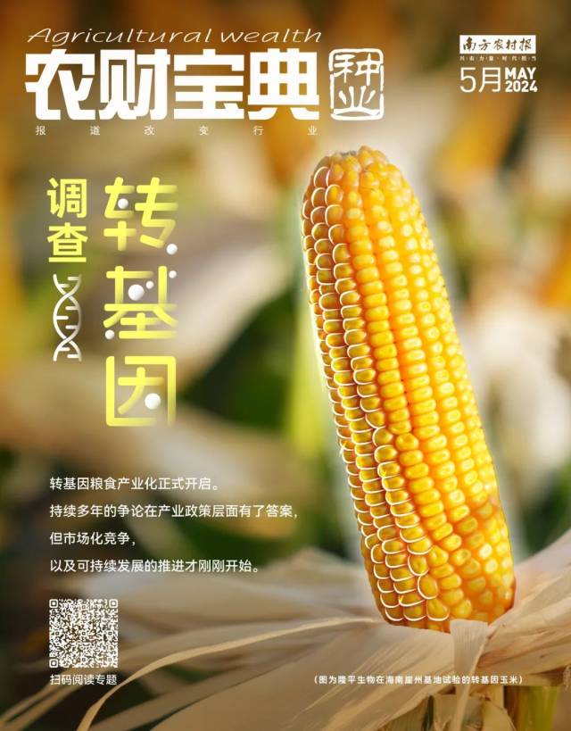 南方农村报 设计