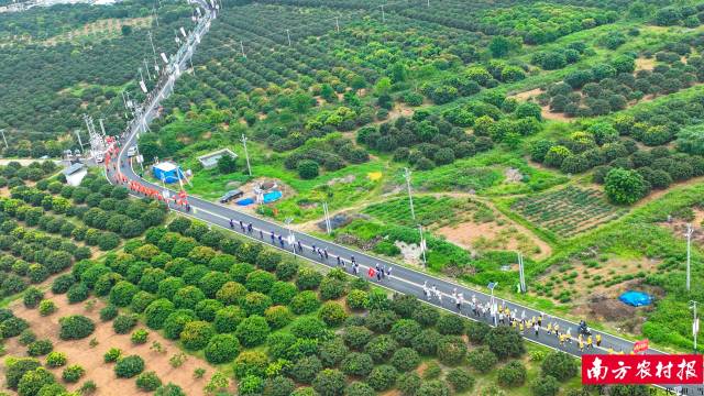 乌塘“仙品荔”全力实现销售开门红