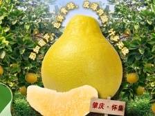 对！这“夏”就是这个“味”