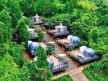 深镇仙人洞村：走进现实版“绿野仙踪”｜茂名典型村一线行⑱