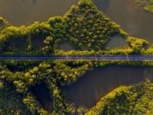 党建引领，揭榜攻坚｜百千万 莞一周