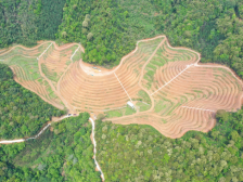 驻蕉岭长潭镇工作队：强标准提质量，擦亮“寿乡品牌” | 驻镇这三年⑧