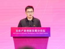 蔡怀军：文化和科技融合绝不是做简单“数学相加题”