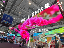 赏牡丹、玩VR、吃烧烤……文博会山东展区人气满满