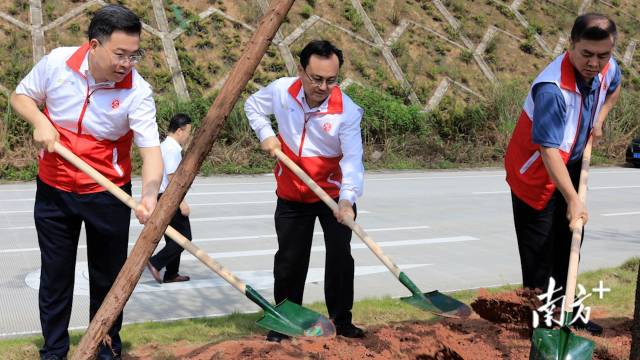 植树活动现场图