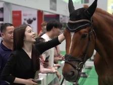 不用去阿勒泰！这里就能“策马驰骋”｜文博会上新