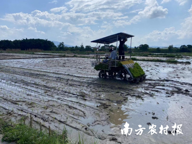 工作队配合金和镇打造全省农业生产社会化服务示范镇。