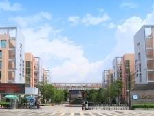招生快讯｜东莞市信息技术学校发布2024年招生简章