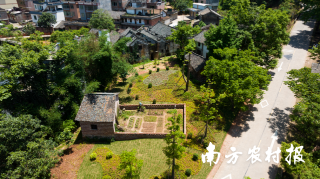 东陂镇道路沿线居民将整治后腾空的区域改造为小花园。