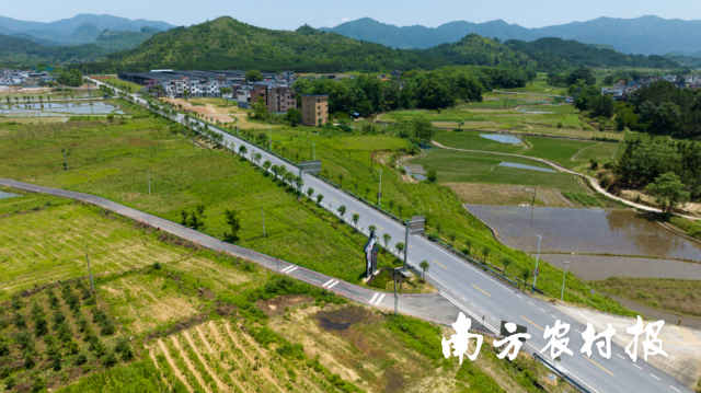 二广高速东陂镇出口至537国道连接线道路两旁浓浓绿意。