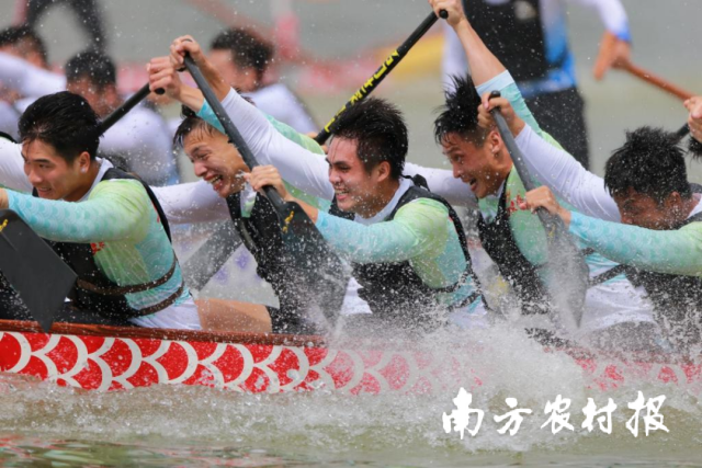 兴农观察|中国顶级龙舟赛事首站缘何落子清远?