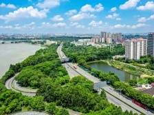 坐上“大湾区地铁”，这样玩转东莞望牛墩→