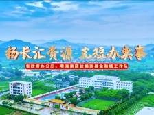 驻揭西金和镇工作队：扬长汇资源，克短办实事 | 驻镇这三年⑨