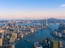 林逢春：推进“数字湾区”建设催生更多新质生产力