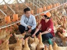 邮储银行云浮市分行：精准滴灌活水，深耕普惠金融 | 金融赋能高质量发展⑤