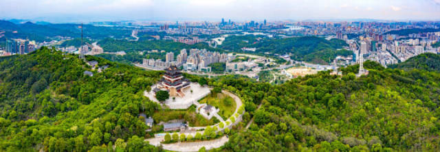 惠州4个县（区）在周全推广林长制以及绿美广东生态建树方面均可圈可点。