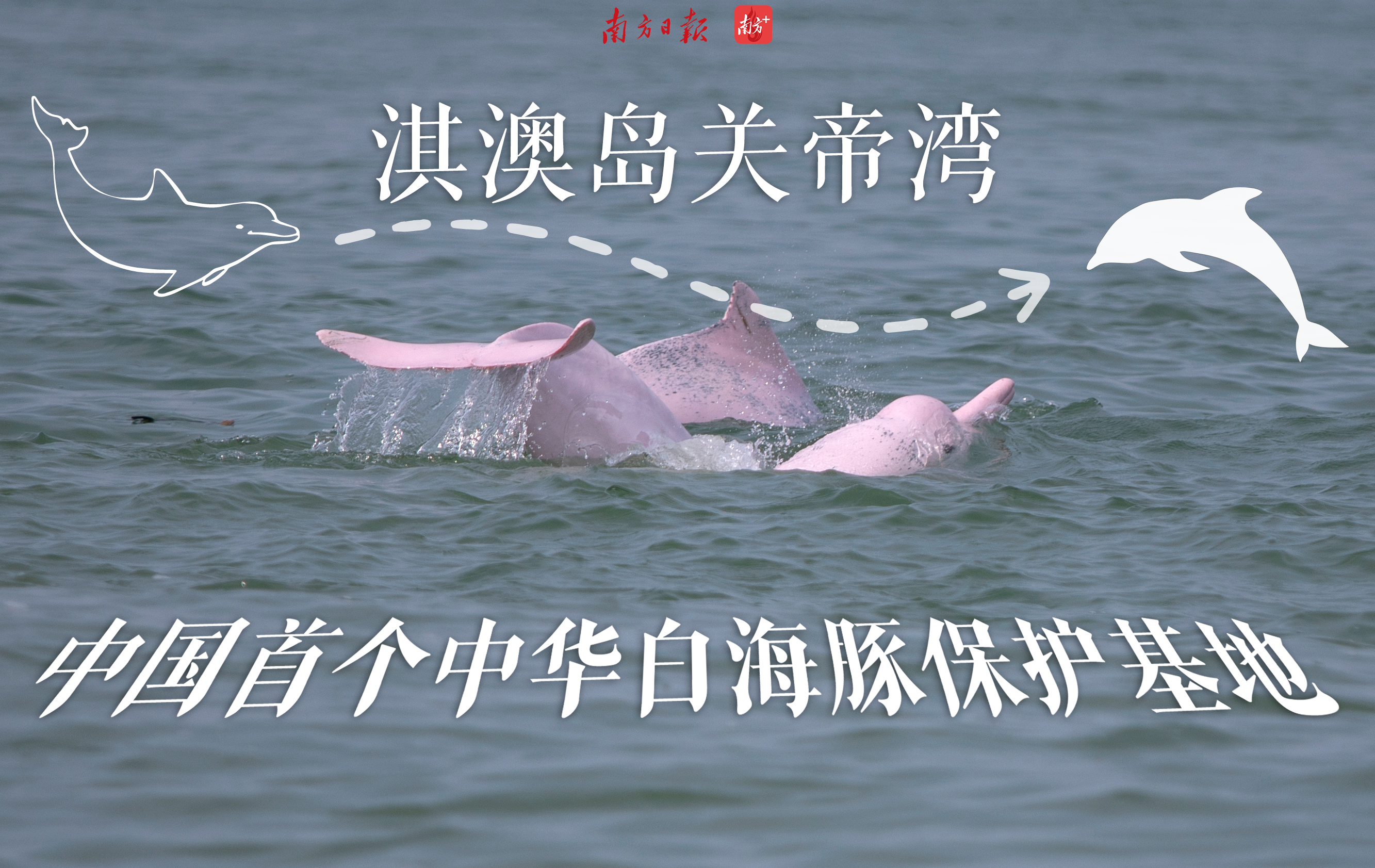 位于珠海淇澳岛的珠江口中华白海豚自然保护区科普宣教基地，是中国首个中华白海豚保护基地。刘梓欣 制图
