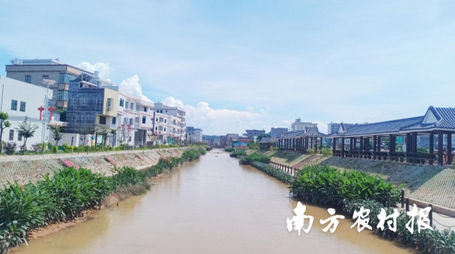 河东镇三村联动“油乡•水韵”乡村振兴示范带。