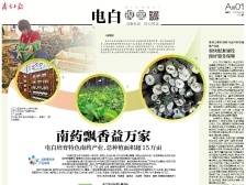 南药飘香益万家｜速览《南方日报·电白视窗》172期