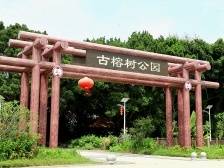 数字看万村 e起向汕⑪龙湖·大兴：绿野变“网红”，农家变“行家”