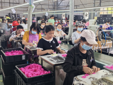 翁源县龙仙镇：“共富车间”点亮富民兴村新图景