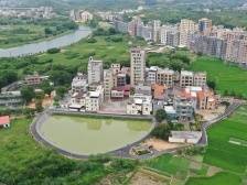 沙琅镇尚塘村：“养龟村”的绿美升级路 | 茂名典型村一线行⑳