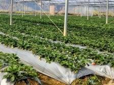 韶关浈江花坪镇长地头村美丽蝶变