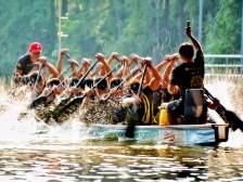 家在九江⑧｜“龙”行天下