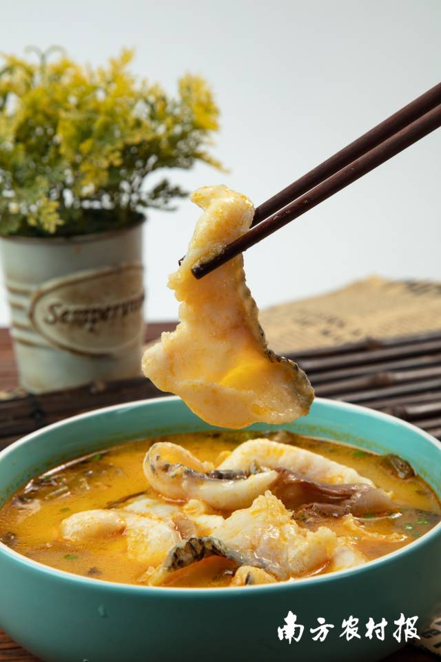 惠发·金汤酸菜鱼