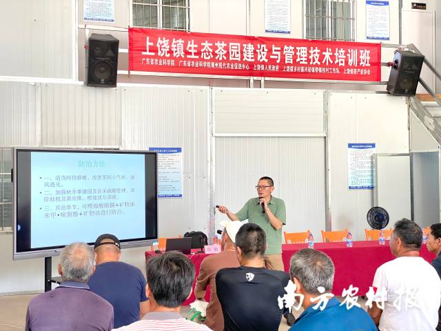 饶平上饶镇生态茶园建设与管理技术培训班。