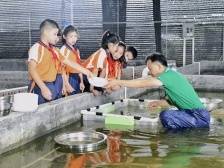 家在九江⑨丨岁业鱼花