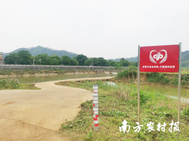 清远市福彩公益金资助修建的金造村坑口水面桥,桥面宽敞平整,货车可以开到田间地头收割农作物。 清远市福彩公益金资助修建的金造村坑口水面桥,桥面宽敞平整,货车可以开到田间地头收割农作物。