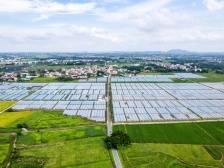 沙田镇卢村村：建设宜居宜业和美村｜茂名典型村一线行㉑