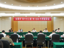 突出做好“镇域+村域”两篇大文章｜百千万 莞一周