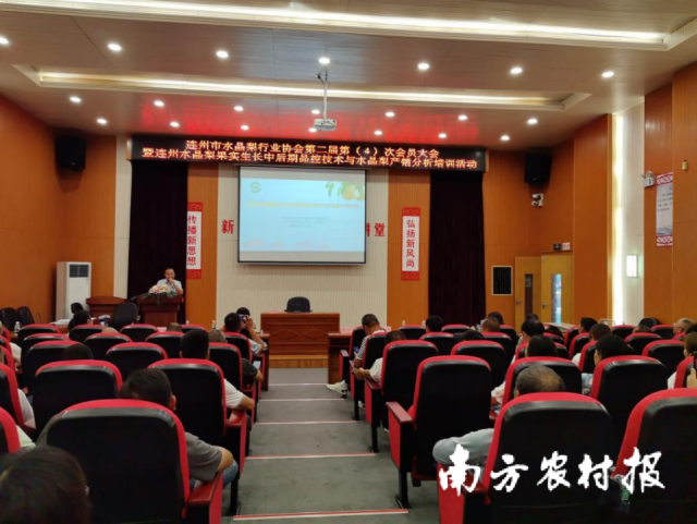 连州市水晶梨行业协会举办培训活动。