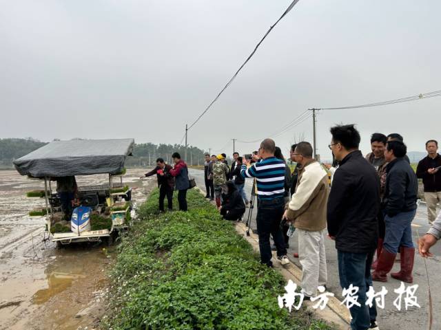 高明田讲所现场，侧深施肥技术操作展演示