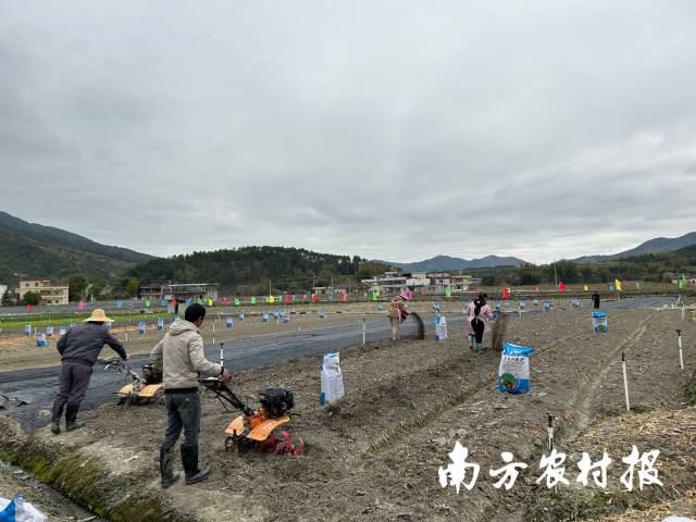 龙川田讲所现场：用搅拌机将有机肥施入菜田