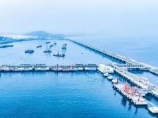 “进度条”拉满！茂名一批港口工程迎重大进展