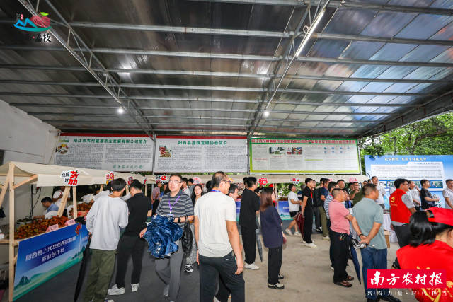 活动展位人气满满。