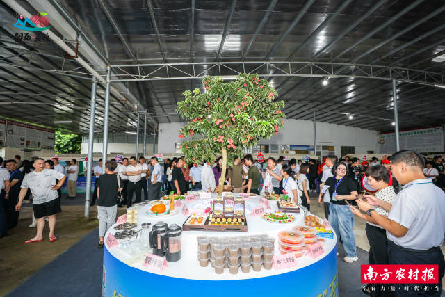 活动展出的荔枝宴引人注目。