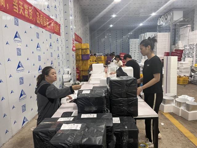 十幾個(gè)工人正在高州市電子商務(wù)產(chǎn)業(yè)園內(nèi)的冷庫(kù)中打包荔枝，每天從這里發(fā)貨的荔枝有600多件,。