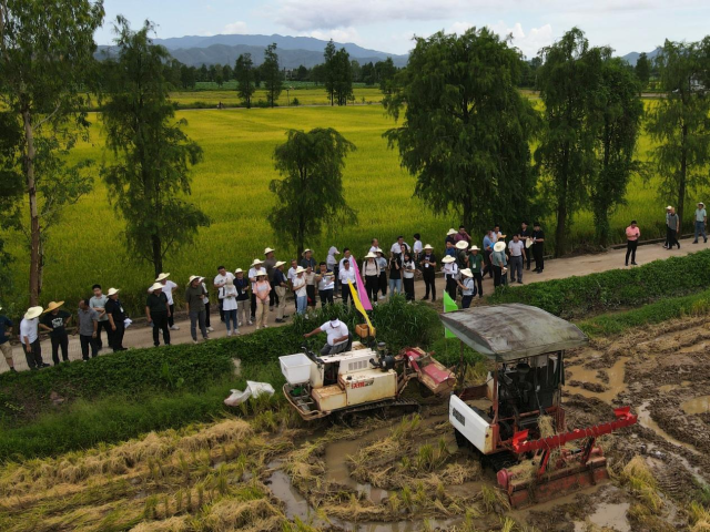 “华南三熟区酸化耕地土壤改良与培肥技术”入选农业农村部主推技术