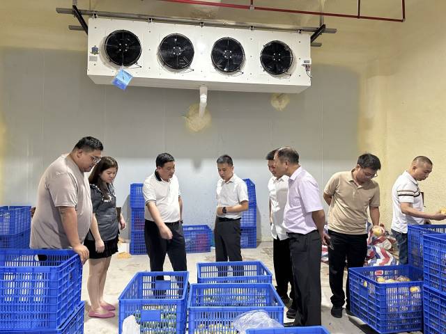 工作人员向孔令辰(左四)介绍冷库情况。 工作人员向孔令辰(左四)介绍冷库情况。