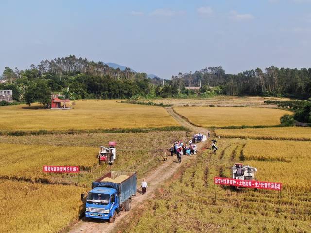 新安村“复耕复种+土地流转+生产托管”示范基地分红现场。 新安村“复耕复种+土地流转+生产托管”示范基地分红现场。