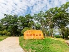 浈江花坪镇奎塘村：“三色”融合绘就美丽乡村新画卷