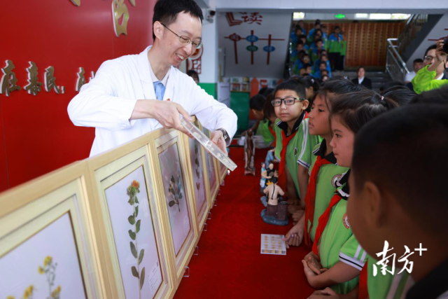 广东援疆医生、省中医院副主任中医师黄颖教学生辨认不同类别的中药。