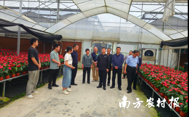 曲沃县考察学习组与花卉产业相关负责人交流。