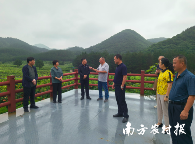 曲沃县考察学习组与水晶梨产业相关负责人交流。