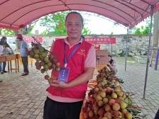 乡贤返乡变电商达人，把山沟沟的荔枝卖到长三角｜新农人 兴农记④